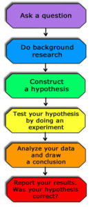 Scientific Method, kinda but not really?